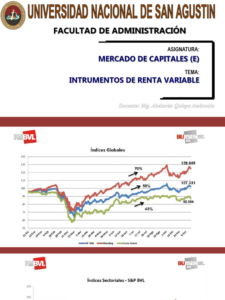 Tema 08 Instrumentos de Renta Variable. | PDF