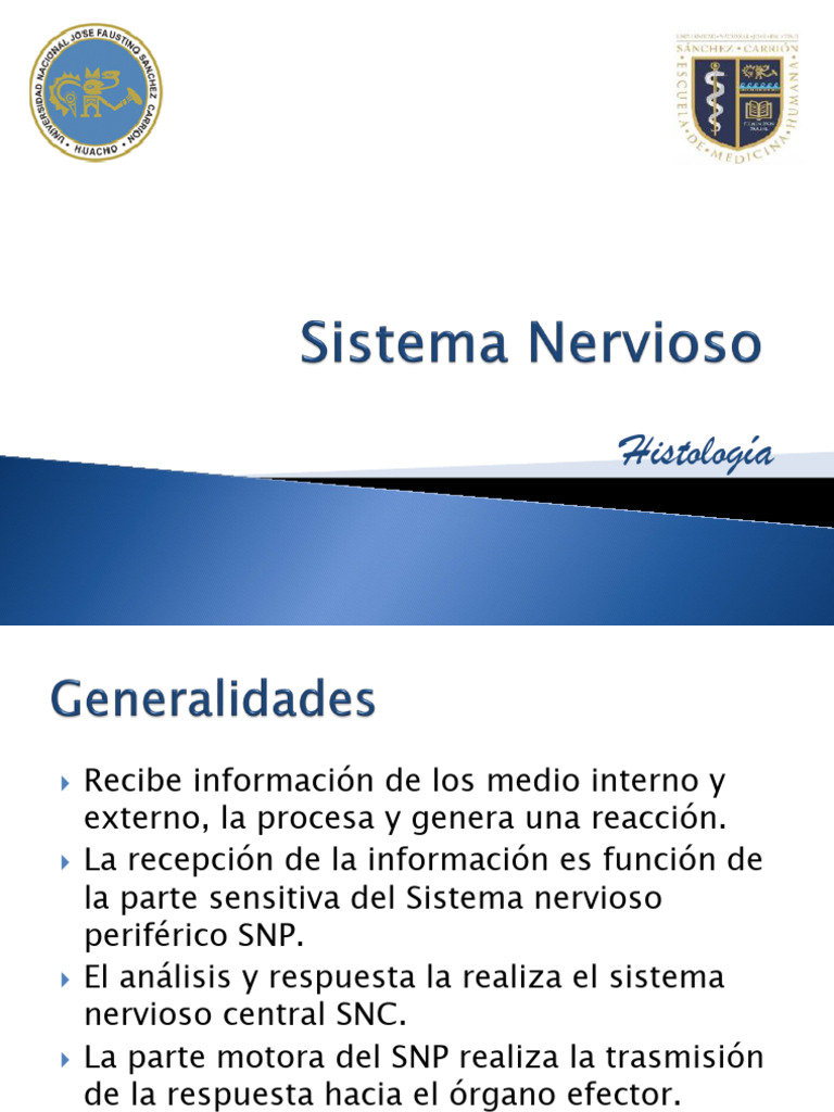Histología Tejido Nervioso Pdf