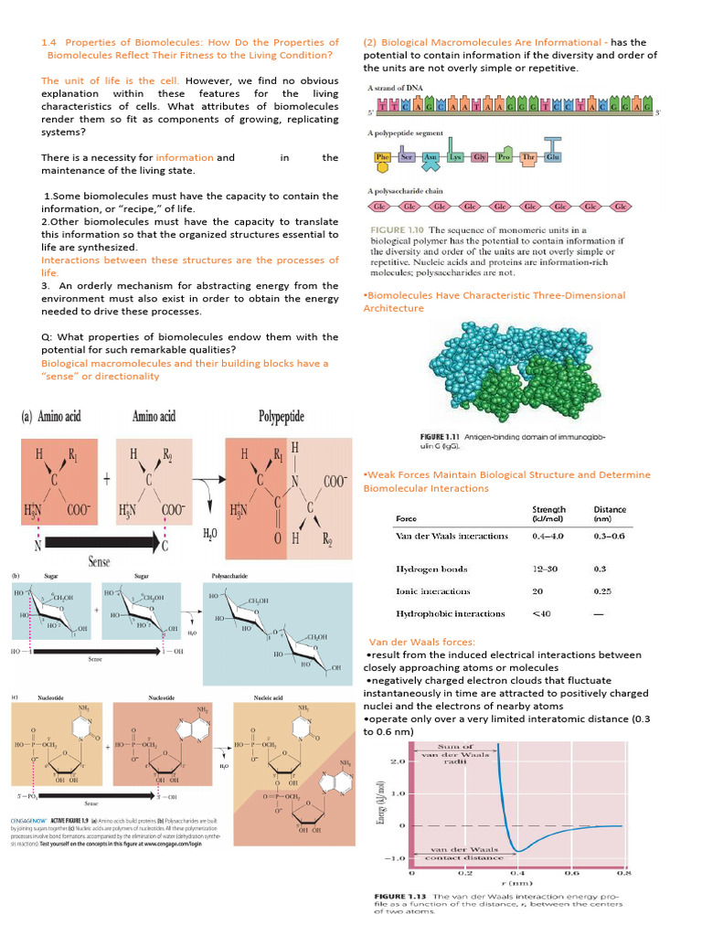 Biochem 2 | PDF