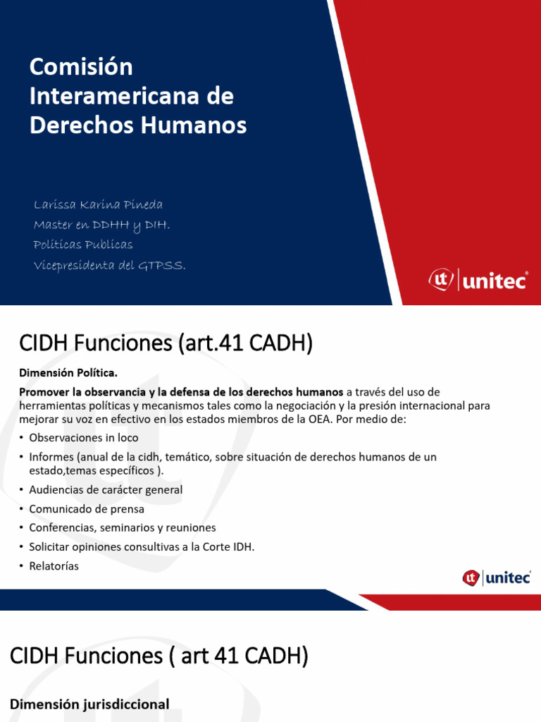 Funciones y Relatorías de la CIDH | PDF | Derechos humanos | Derechos