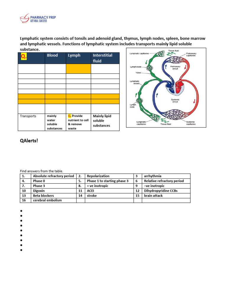 Lymphatic System | PDF