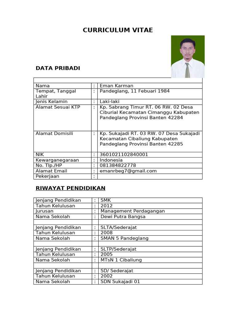 Curriculum Vitae | PDF