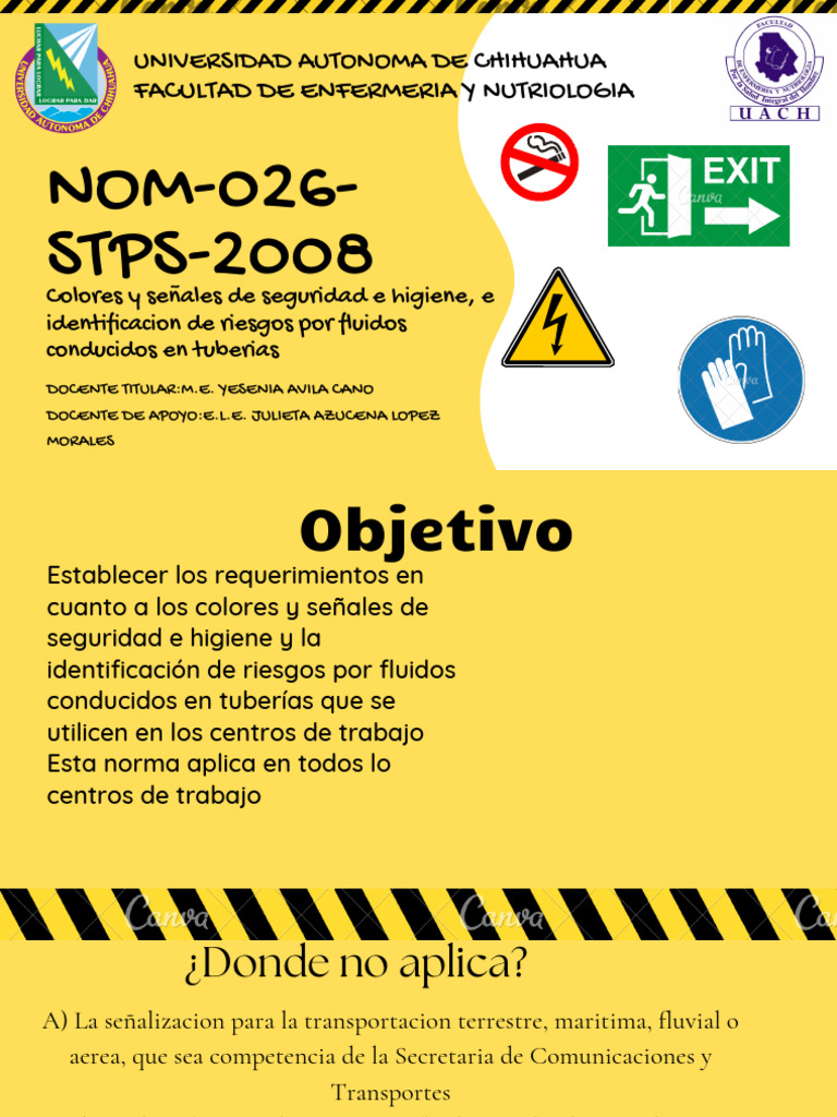 Information Texts For Kids