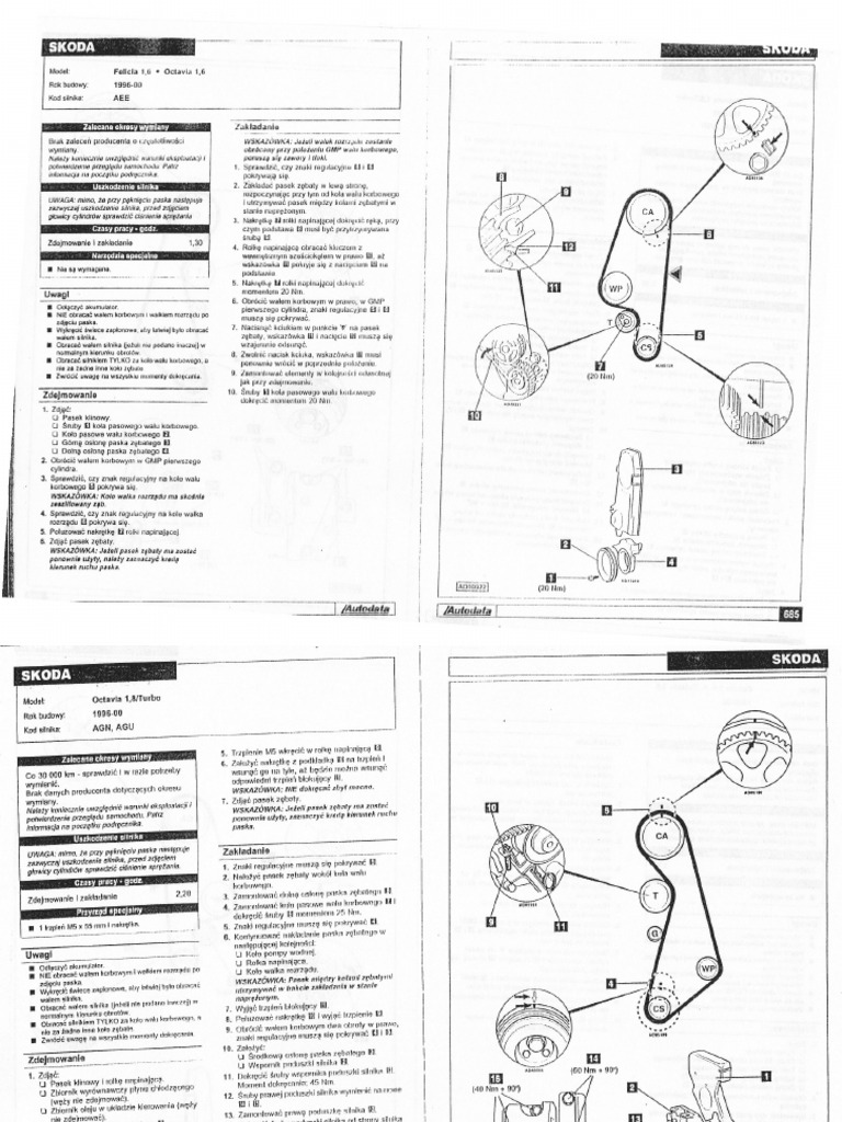 Skoda Timing Belts | PDF
