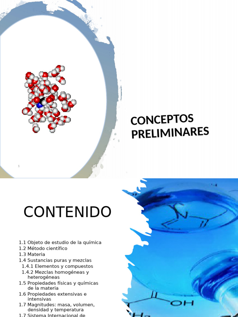 Conceptos Preliminares | PDF