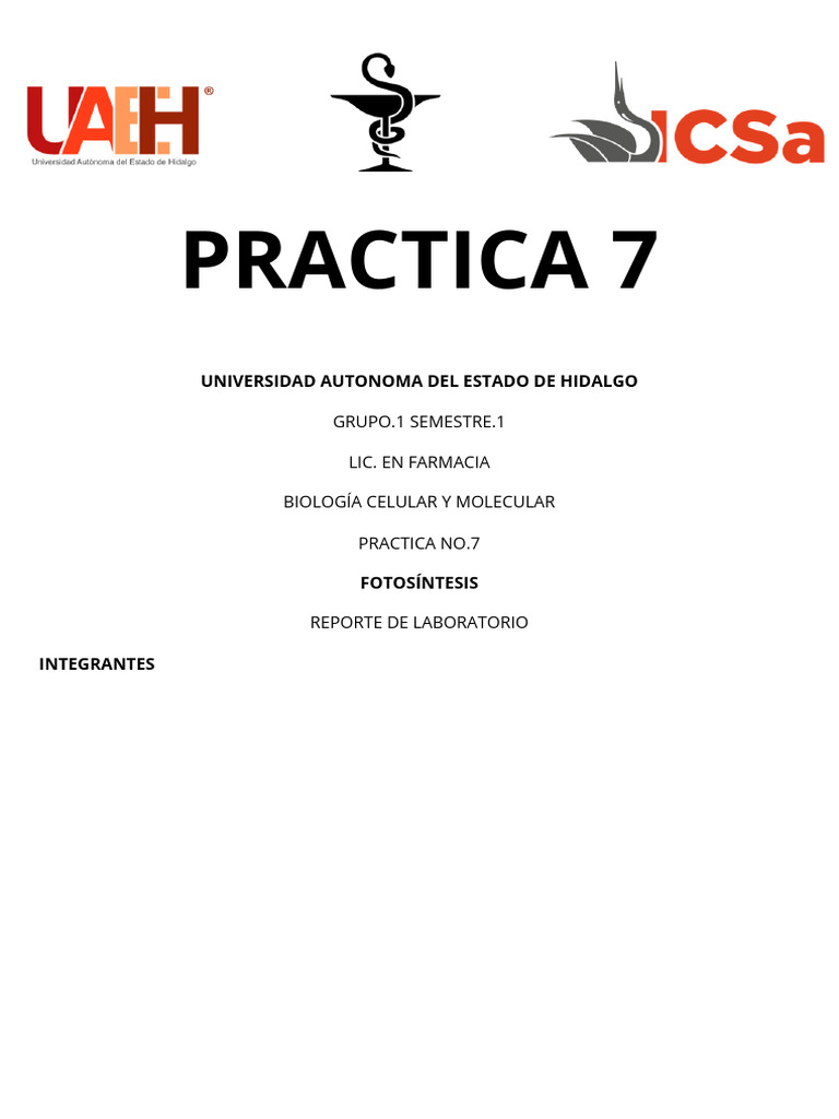 Practica 7 | PDF