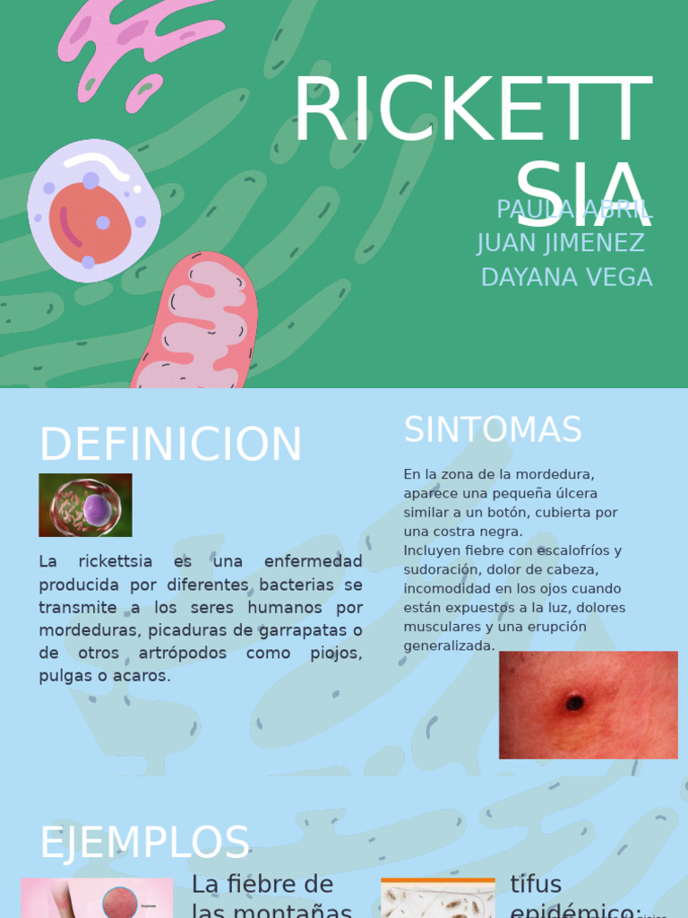 Rickettsia | PDF