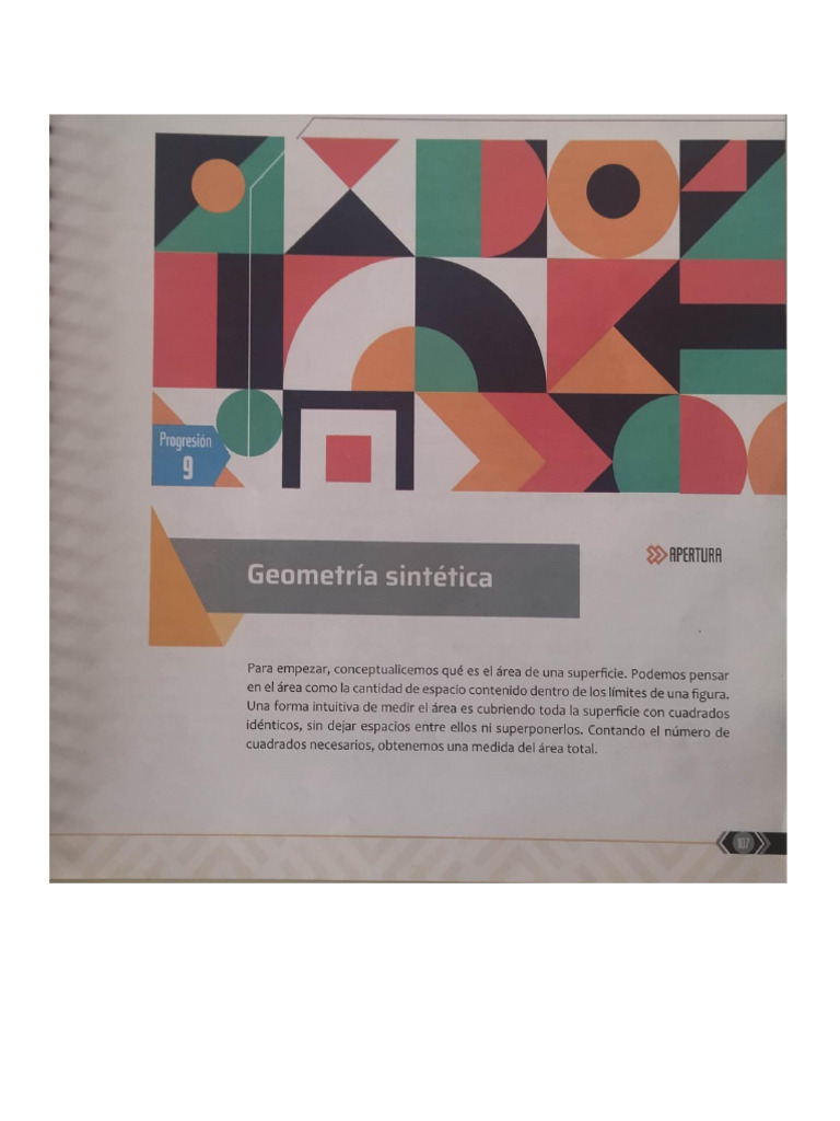 Geometria Sintética | PDF