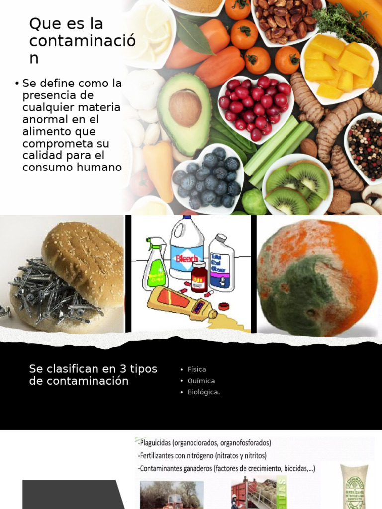 Contaminación de Alimentos | PDF