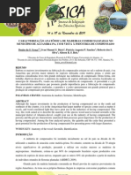 CARACTERIZAÇÃO ANATÔMICA DE MADEIRAS COMERCIALIZADAS NO MUNICÍPIO DE ALTAMIRA - PA, COM VISTA A INDUSTRIA DE COMPENSADO