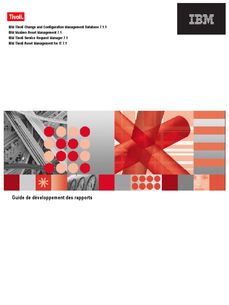 BIRT Guide | PDF | Fichier informatique | Application