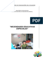 Necesidades Educativas Especiales