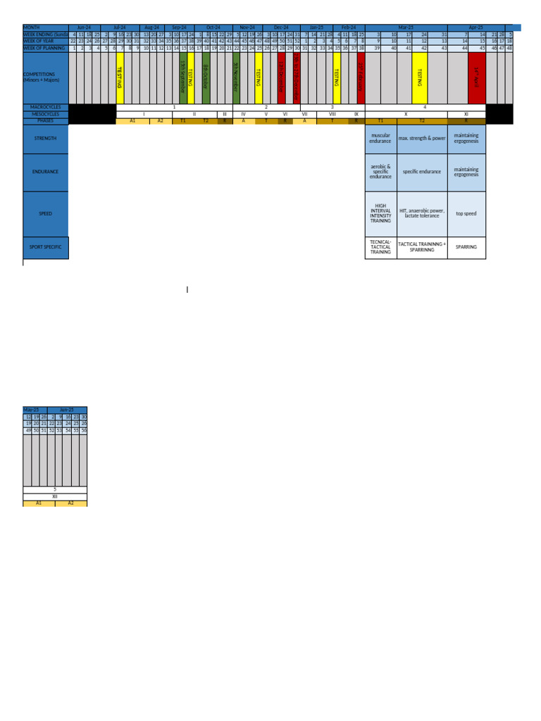 Ouays bakcha final project excel pdf