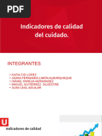 16 Indicadores de Calidad en Enfermería | PDF