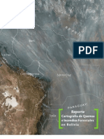 Reporte Bolivia 2011 Quemas e Incendios Forest Ales