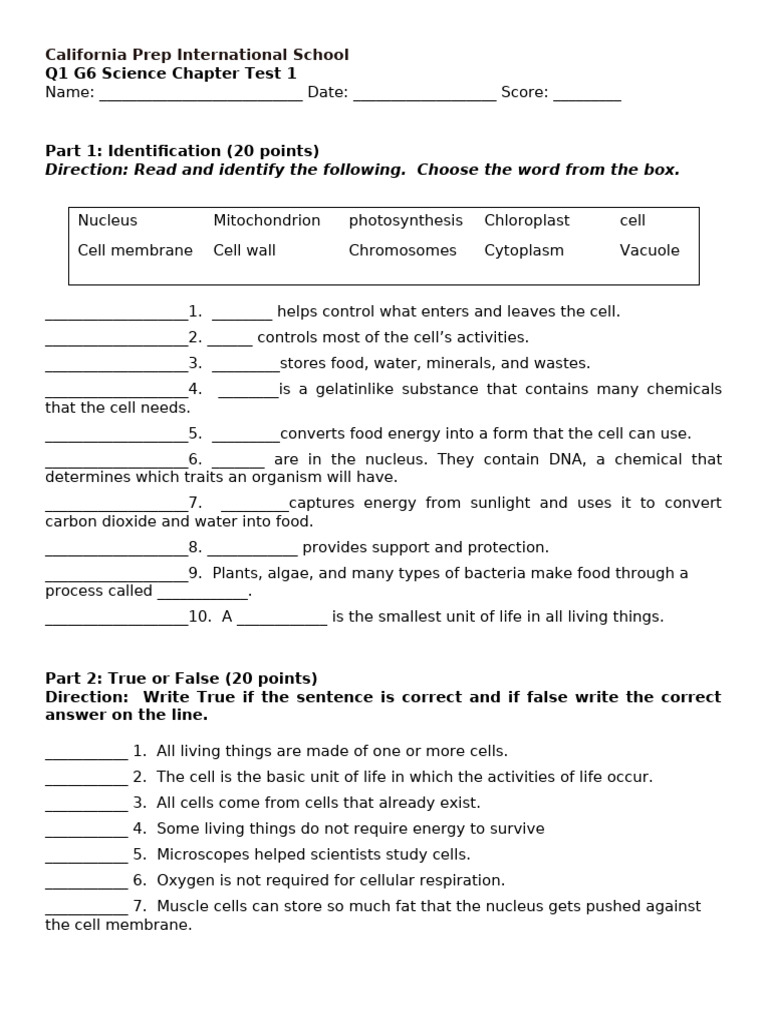 Chapter Test 1 | PDF