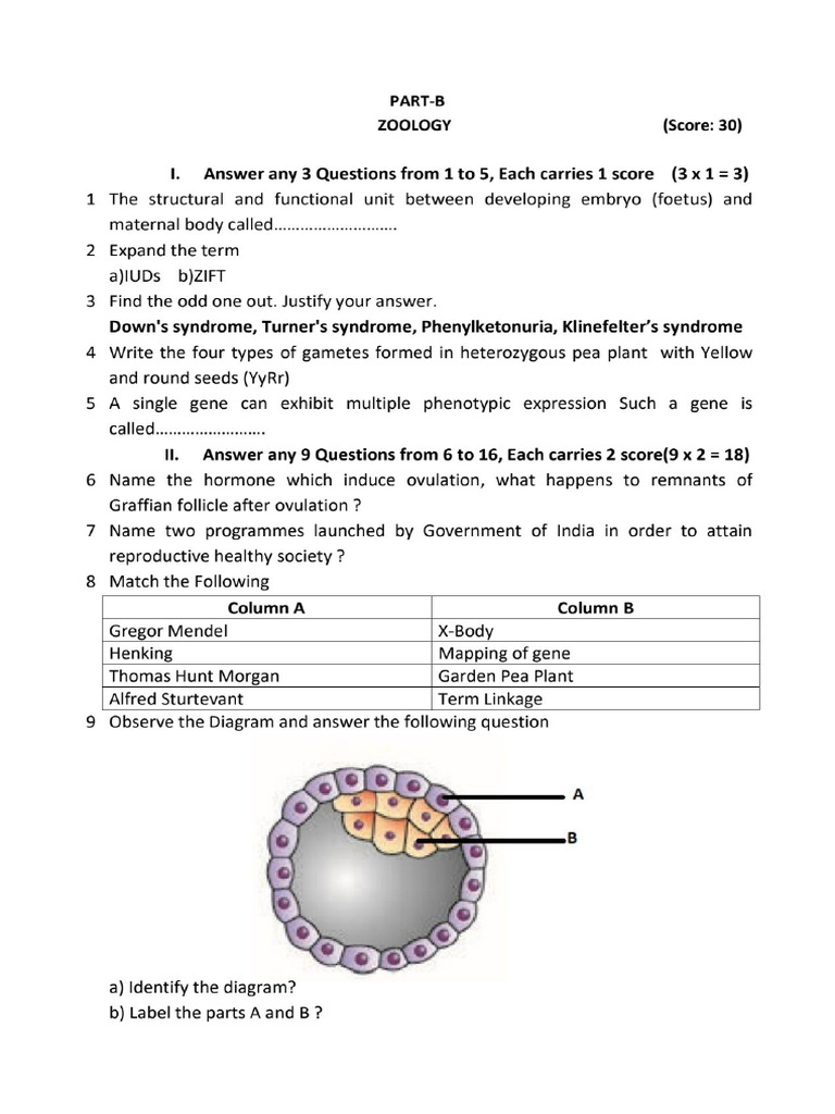 Plus Two Zoology First Term Exam Question Paper 2023 | PDF