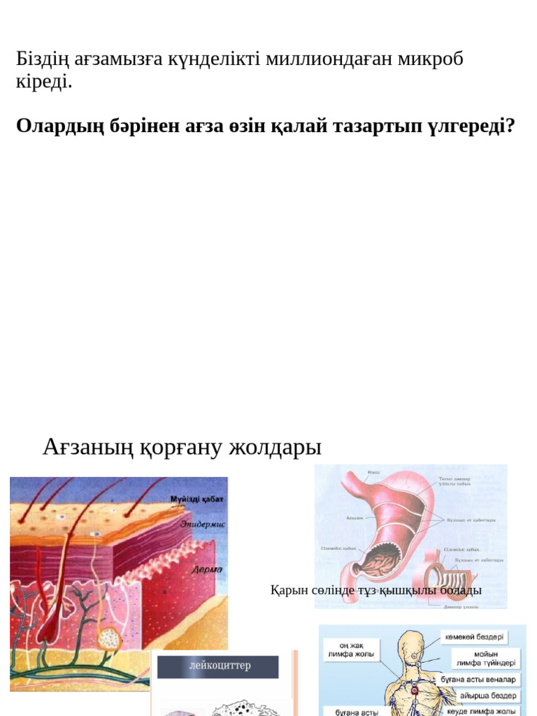 Нағыз әйелді алдаған порно онлайн көру