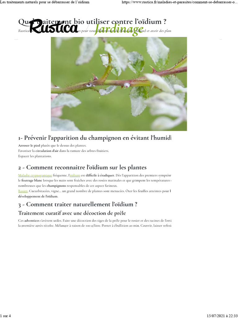Les Traitements Naturels Pour Se Débarrasser de L'oïdium PDF — free download