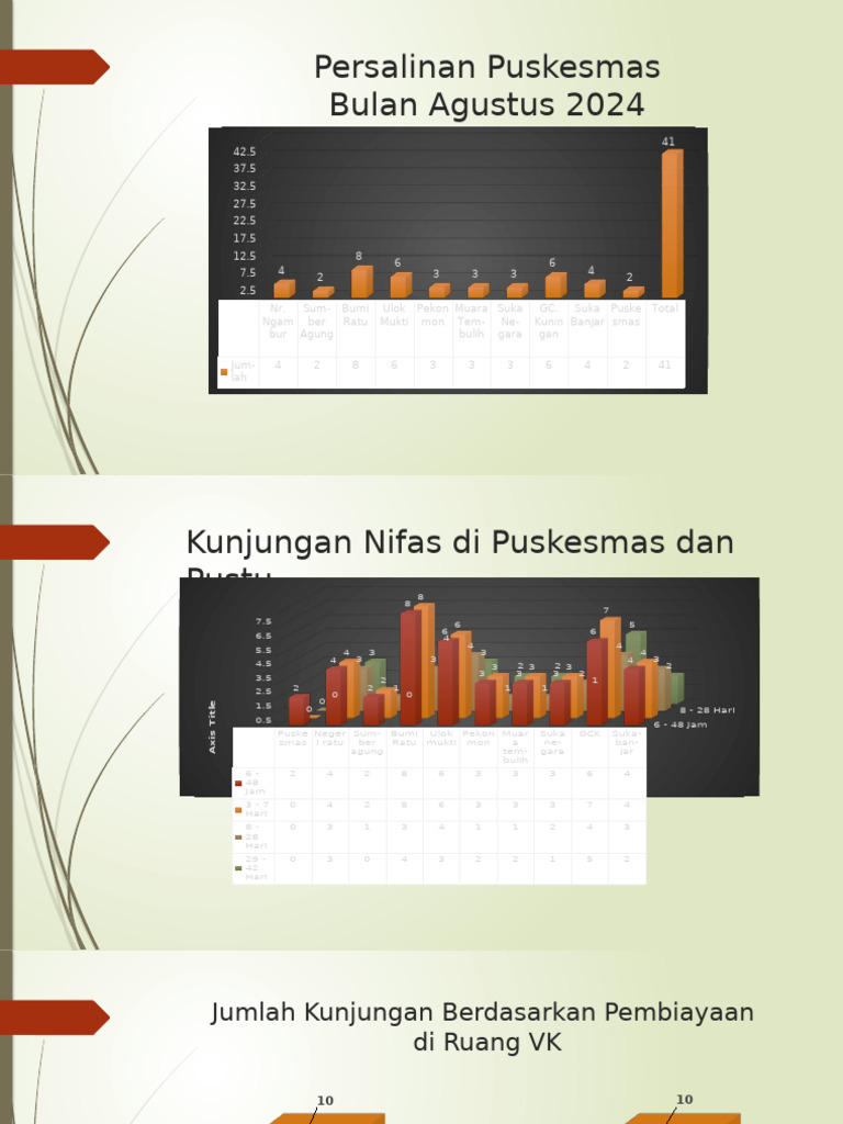 Persalinan Puskesmas Dan Pustu-1 | PDF