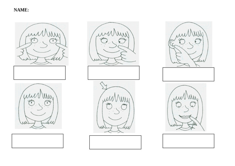 partsofthefacefunactivitiesgames_26254 PDF