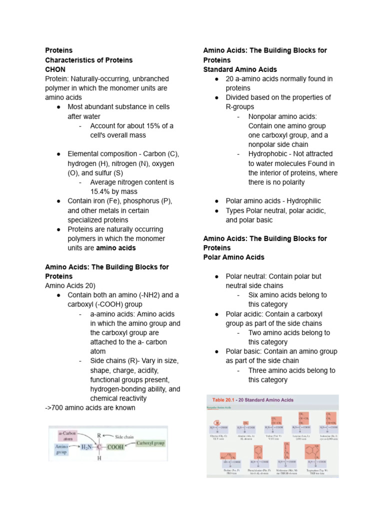 Proteins | PDF