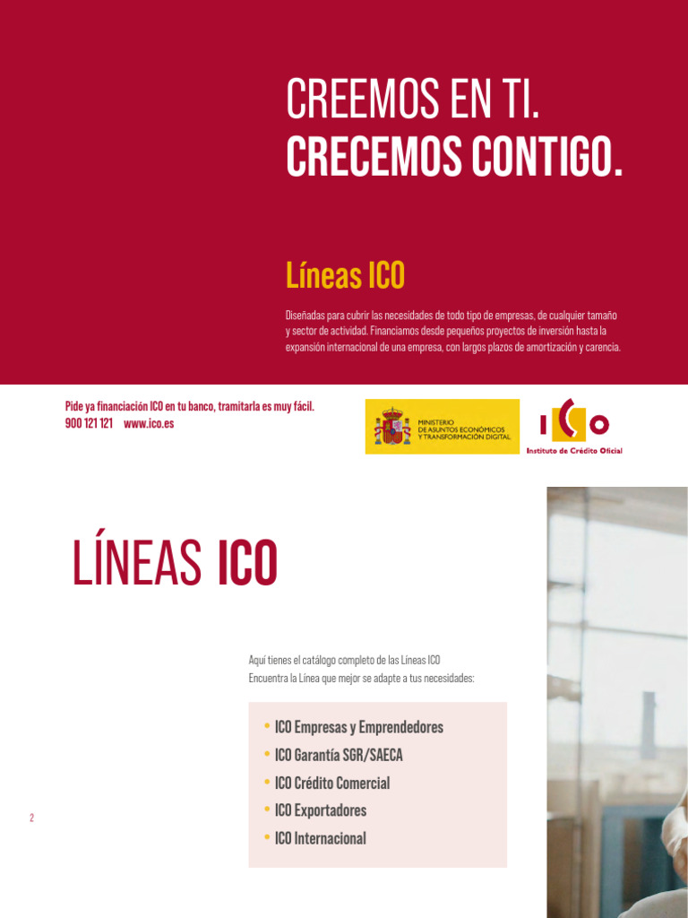 Lineas Ico | PDF