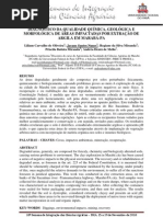 SICA_2010 - DIAGNÓSTICO DA QUALIDADE QUÍMICA, GEOLÓGICA E MORFOLÓGICA DE ÁREAS IMPACTADAS POR EXTRAÇÃO DE ARGILA EM MARABÁ-PA