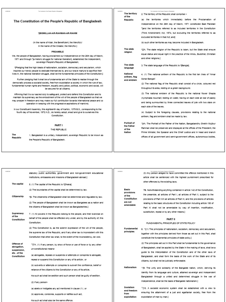 Constittution | PDF