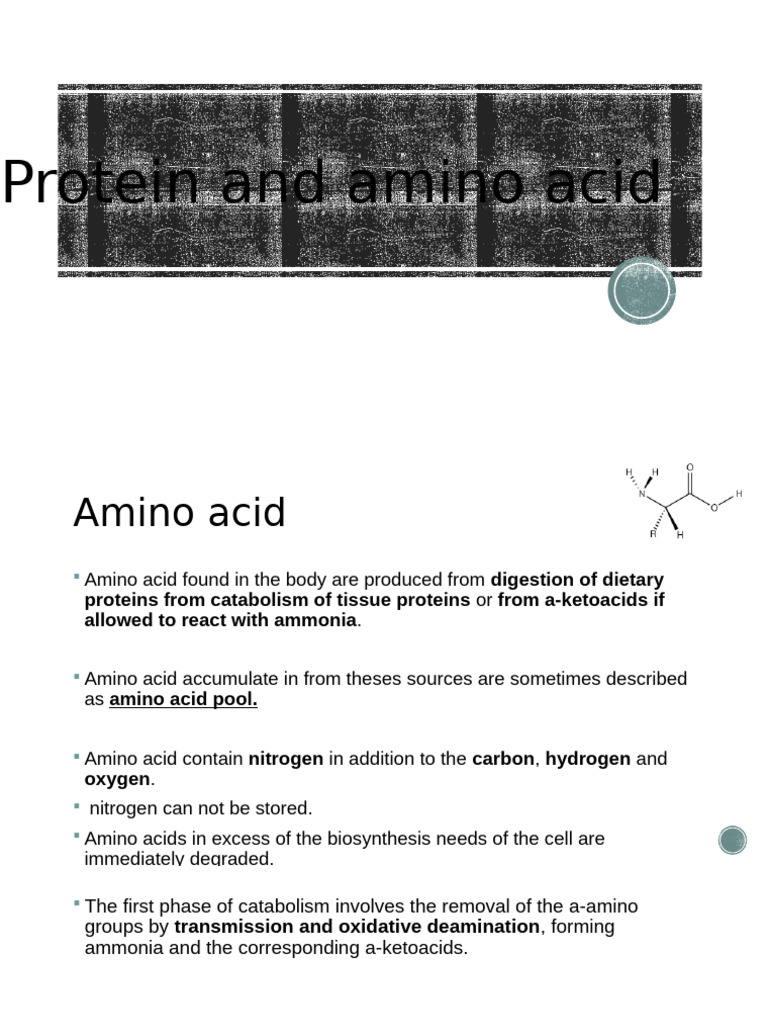 Protein and Amino Acid | PDF