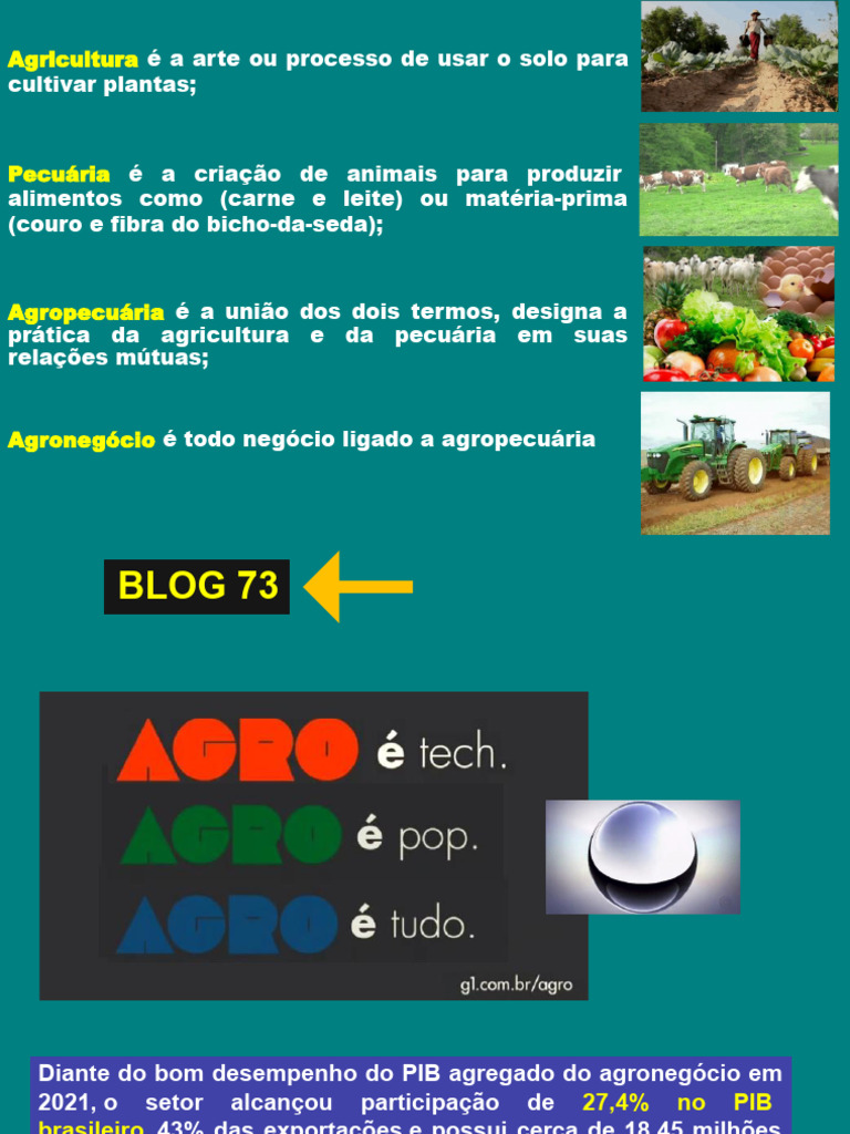 Scribd 4 | PDF