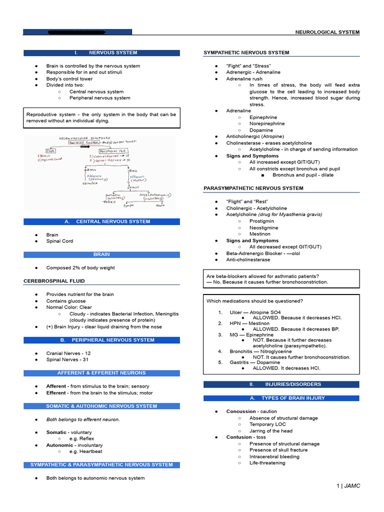 Neurological System JAMC | PDF