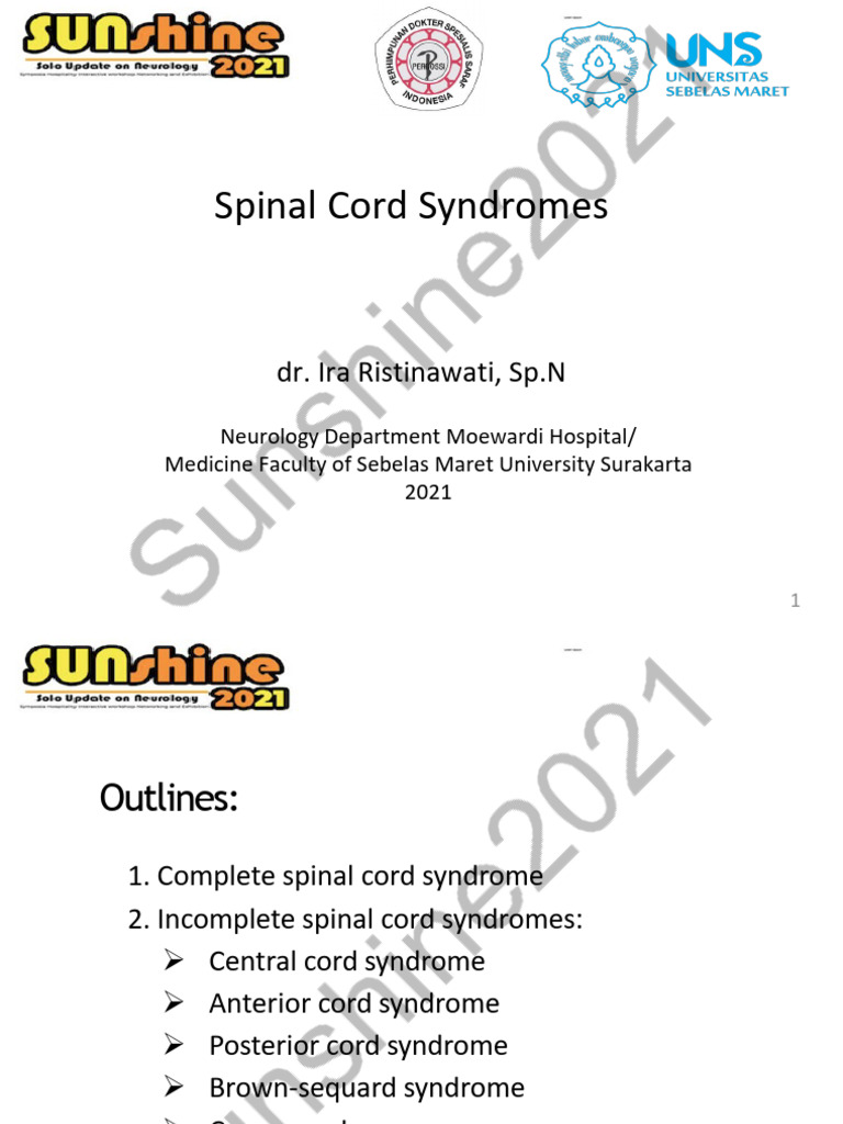 Spinal Cord Syndromes | PDF