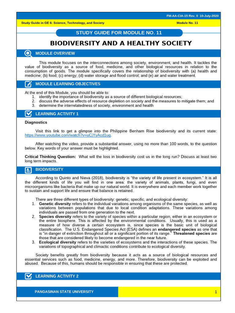 Study Guide 11 | PDF