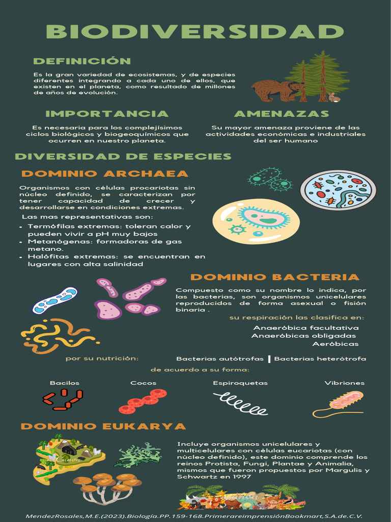 Biomes | PDF