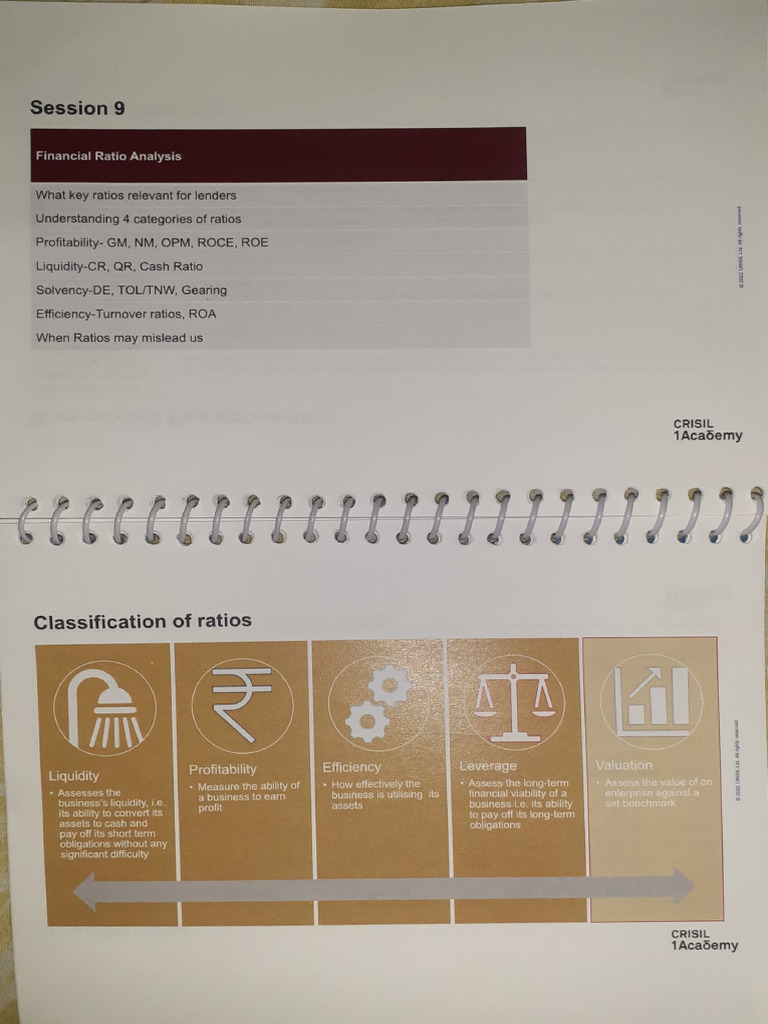 Financial Ratio Analysis | PDF