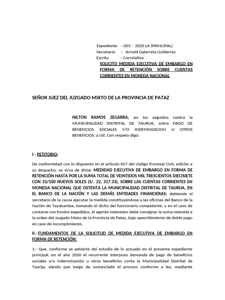 Embargo Municipalidad | PDF