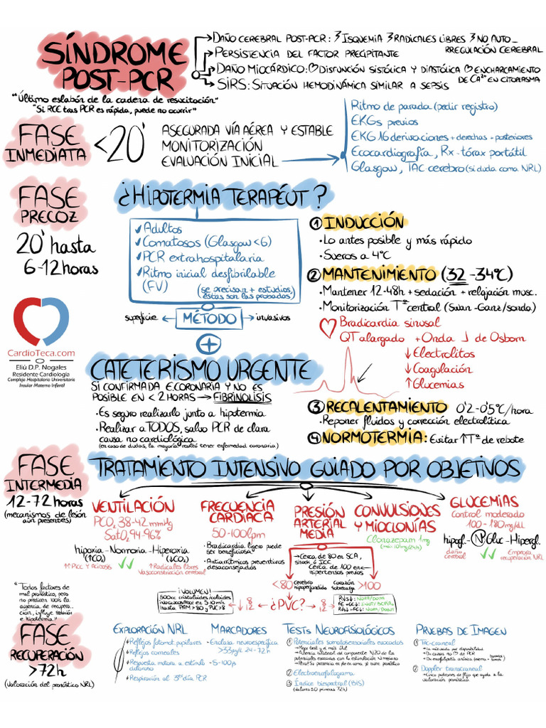 2 Sindrome Post PCR | PDF