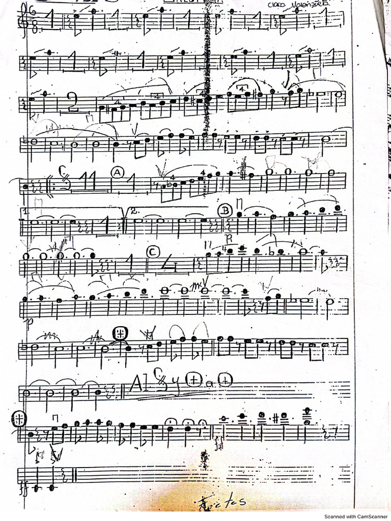 Galopera VIOLIN II PDF | PDF