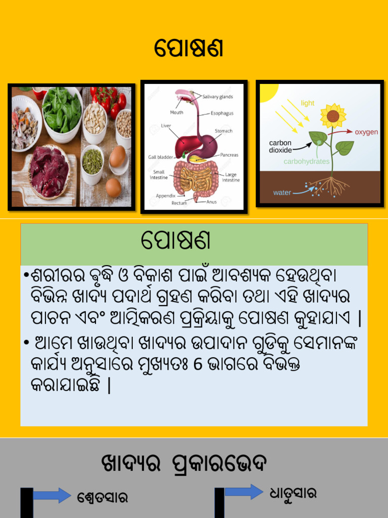 FOOD AND NUTRITION QUESTIONS AND ANSWERS PDF IN HINDI visual data 8