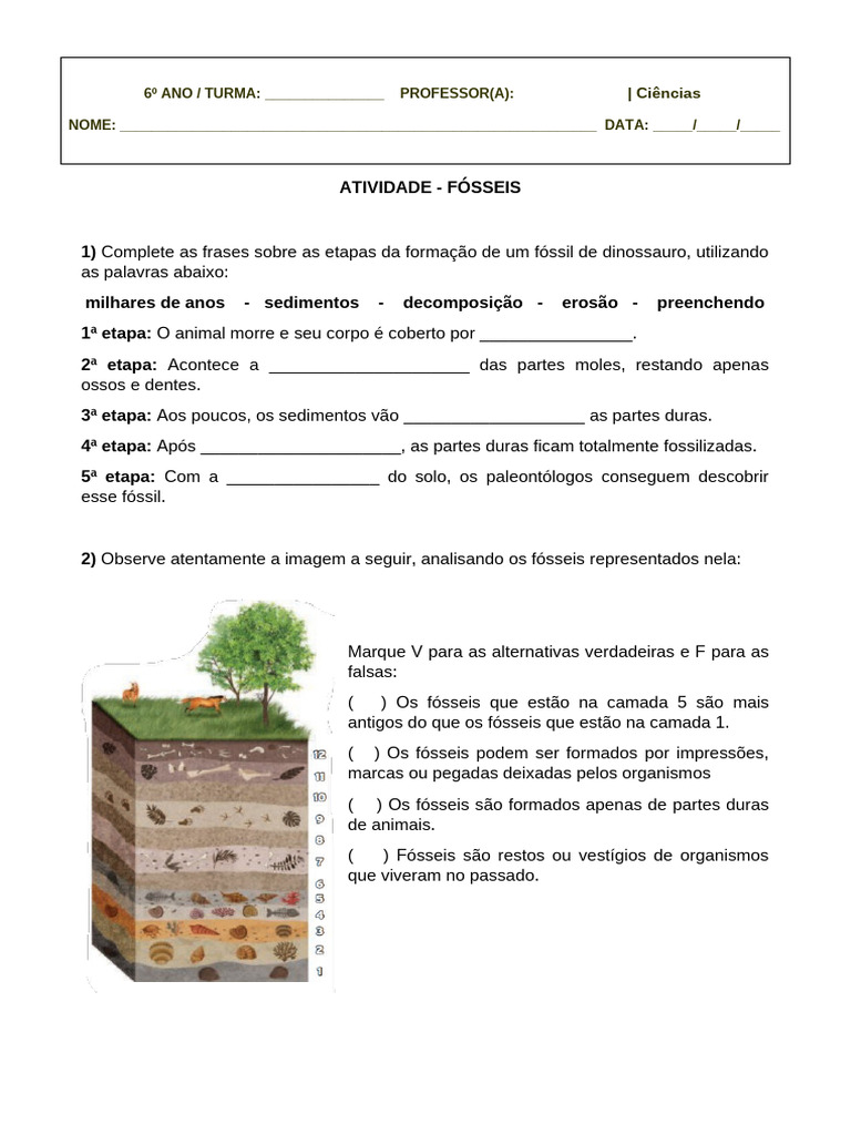 Atividade de revisão 6º ano - Fósseis | PDF