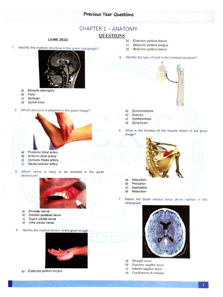 Anatomy PYQ NF | PDF