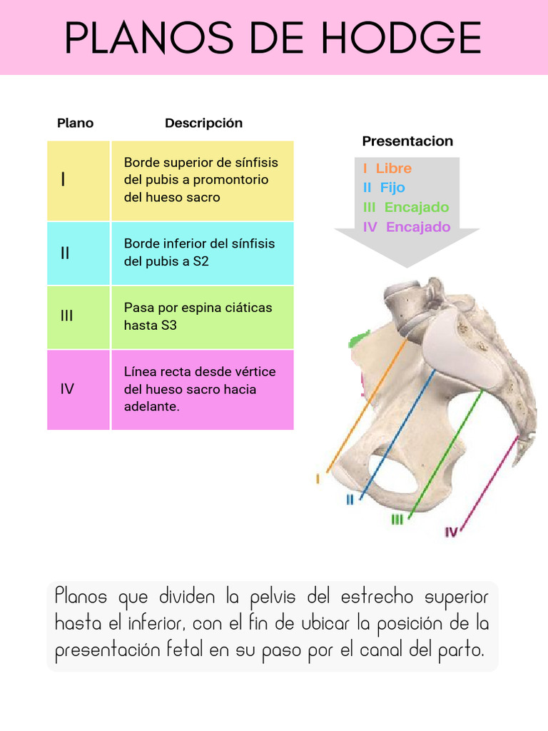 Fichas Ginecologia | PDF