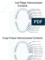 Cusp-Fossa Interocclussal Contacts