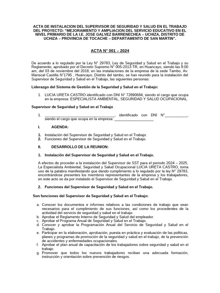 Acta de Instalacion Del Supervisor de Seguridad y Salud | PDF