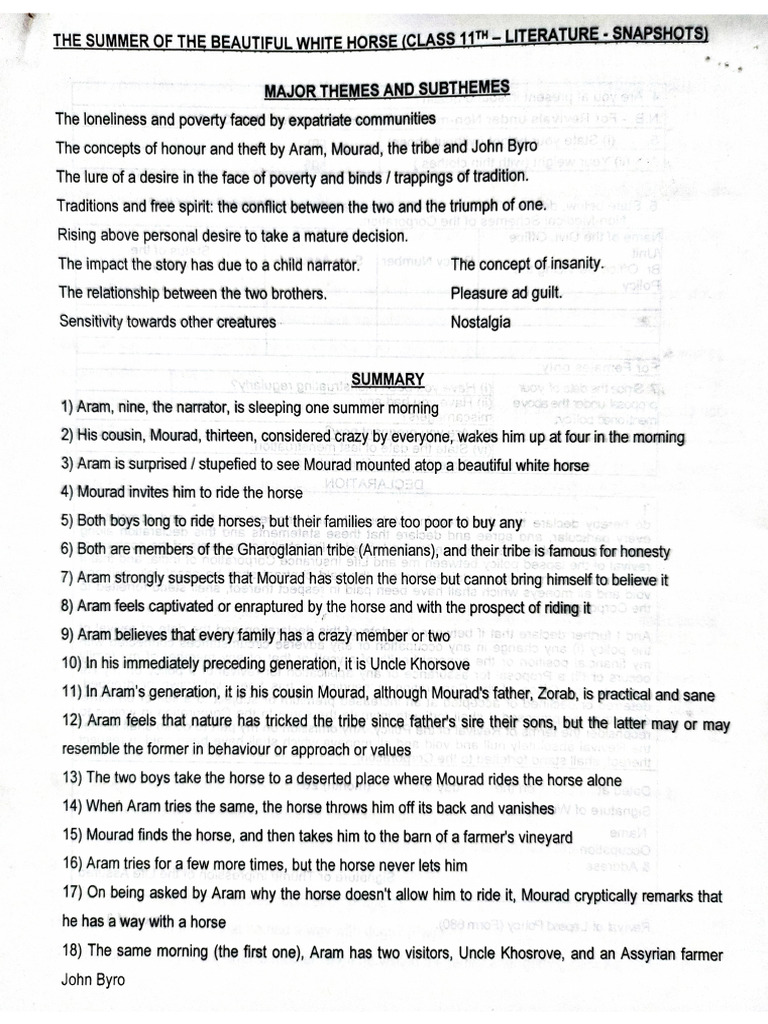 summer-of-beautiful-white-horse-and-poster-making-pdf