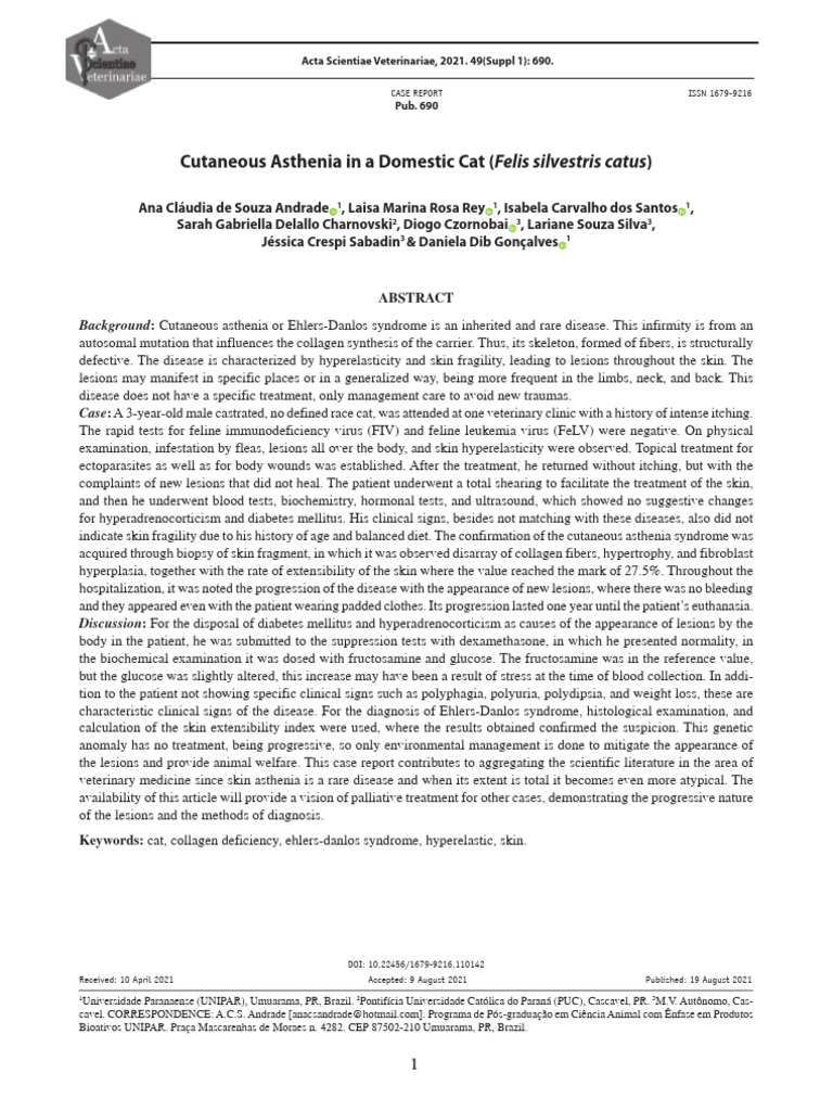 Cutaneous Asthenia In A Domestic Cat Felis Silvest Photo Inspiration