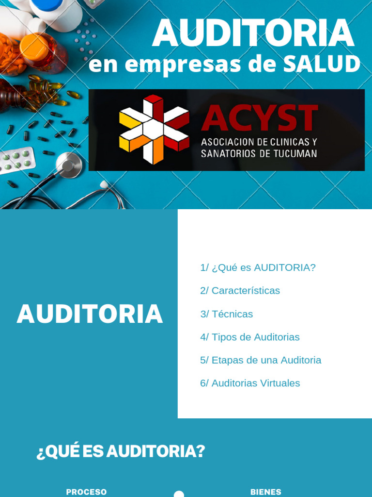 Auditoría en Empresas de Salud: Guía Completa | PDF | Auditoría | Business