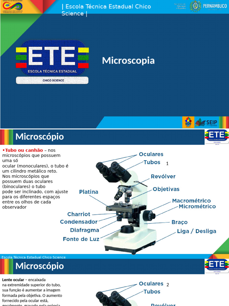 AULA 2 - Micros | PDF