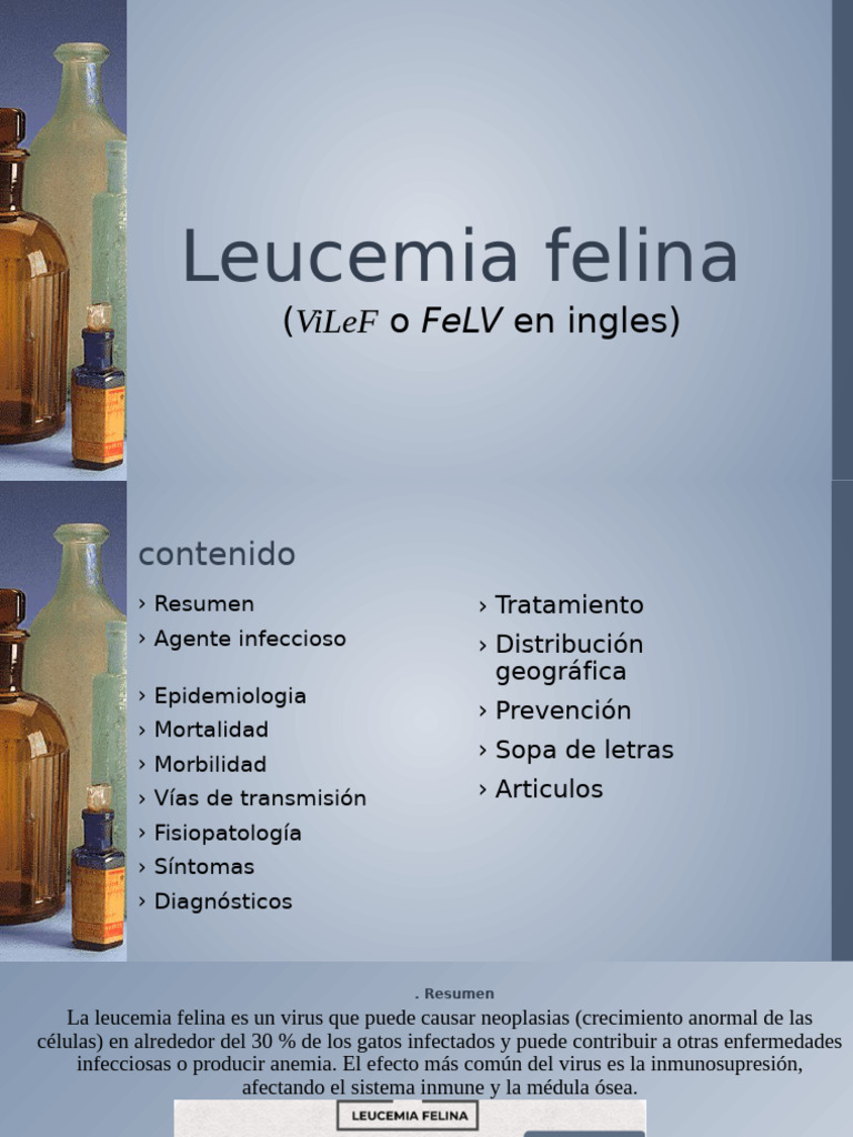 Leucemia Felina | PDF